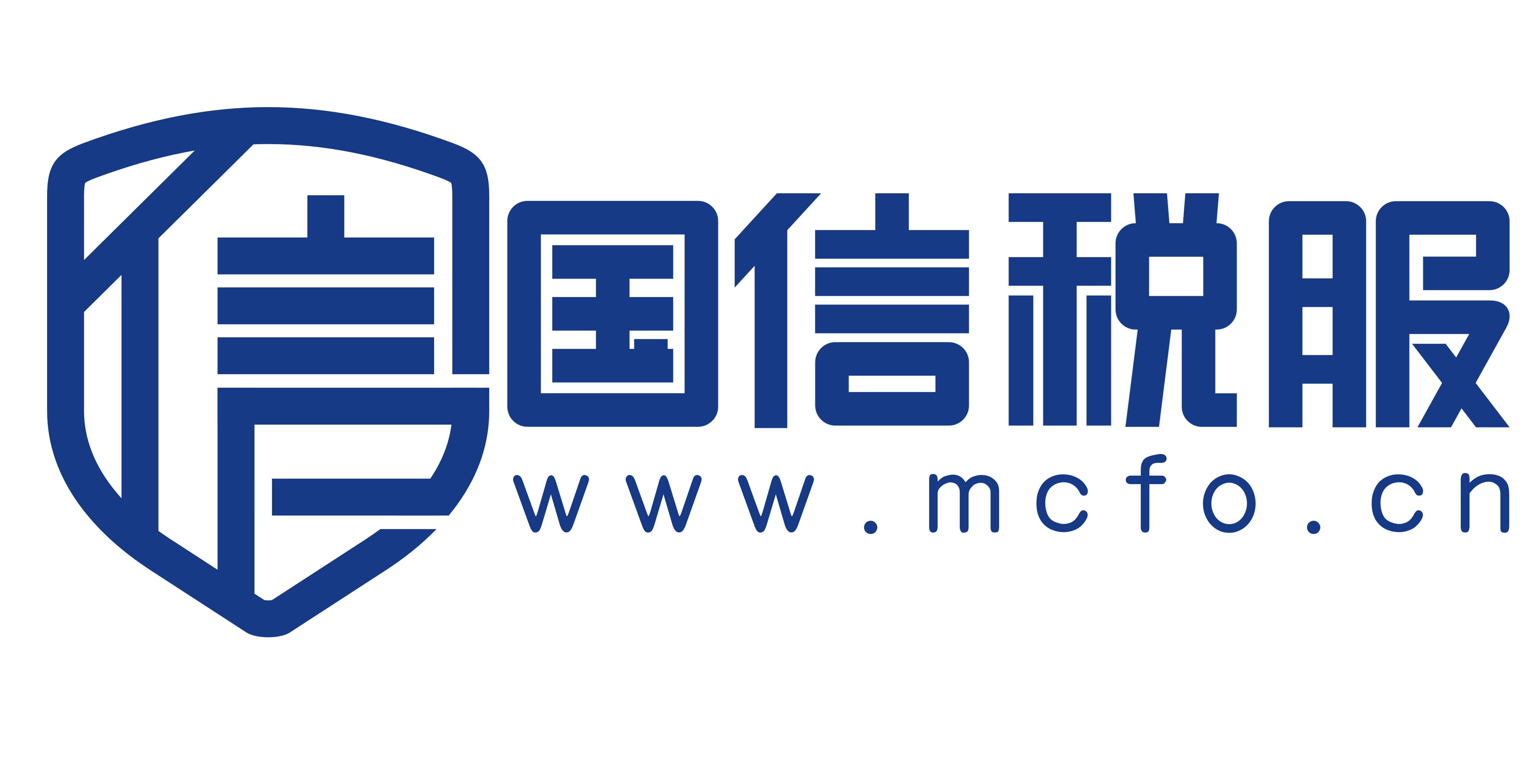 国信税服-企业财税数字化解决方案领创品牌